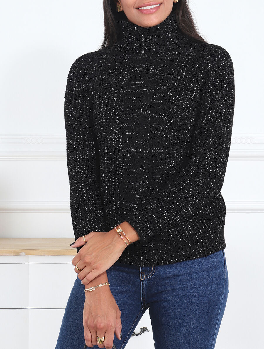 Pull irisé droit à col roulé - Noir - 4