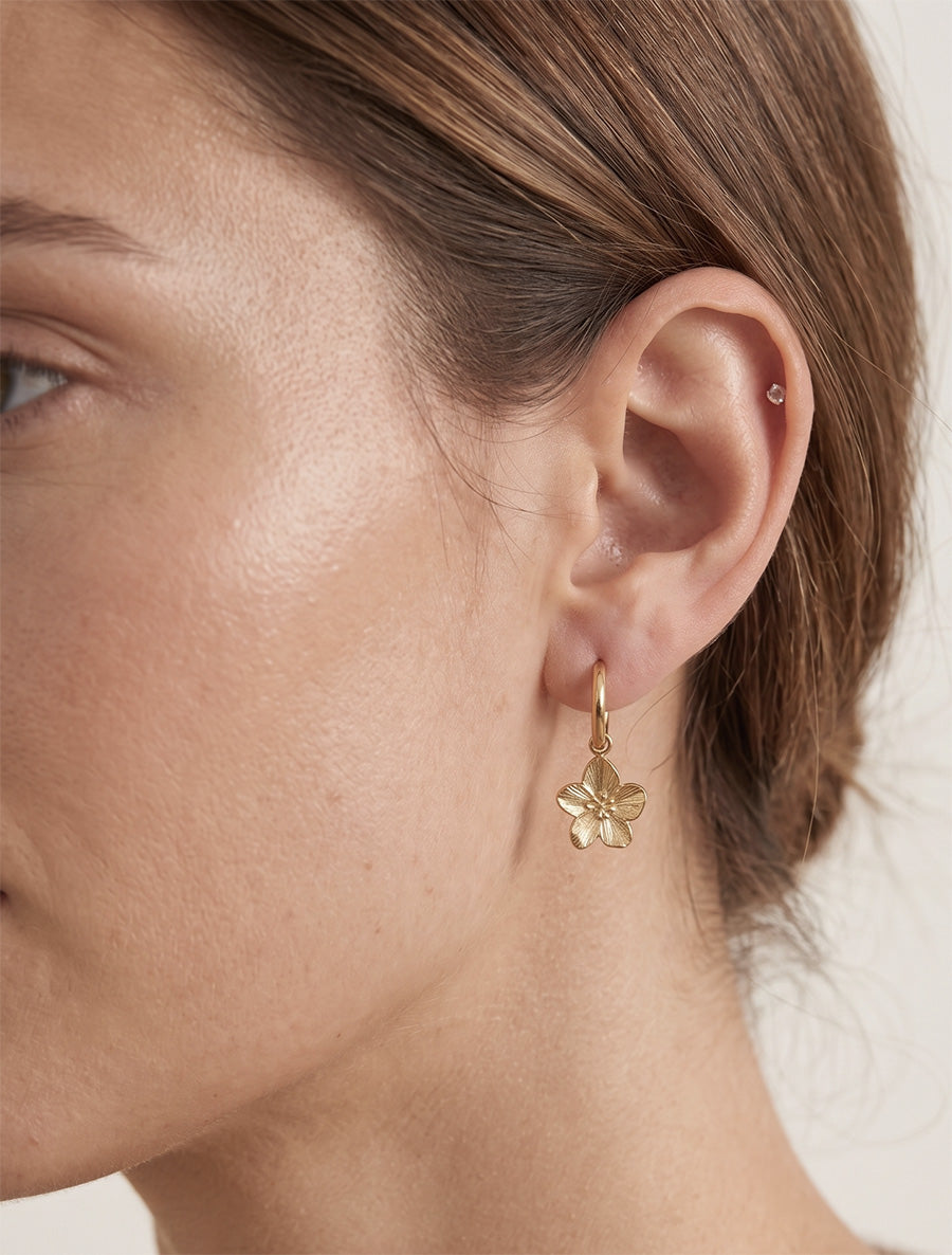 Boucles d&